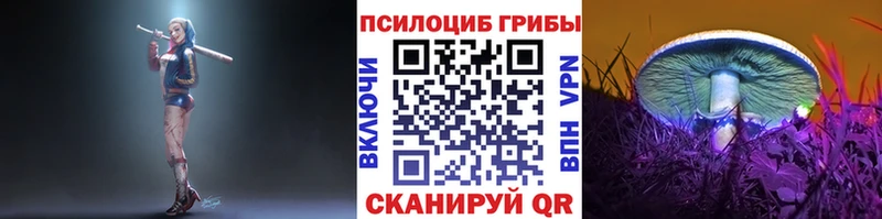 Псилоцибиновые грибы Cubensis  Купить  Курчатов 